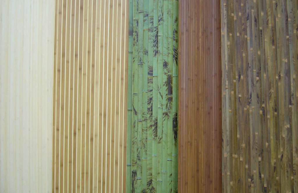 bambusz falvédő
